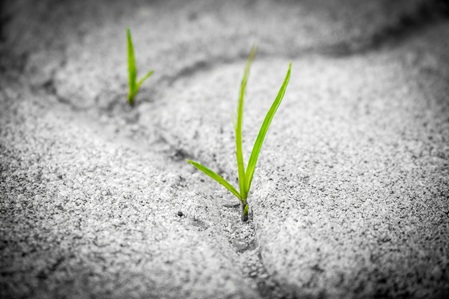 Stimmungsbild für Weiterentwicklung in der Psychotherapie